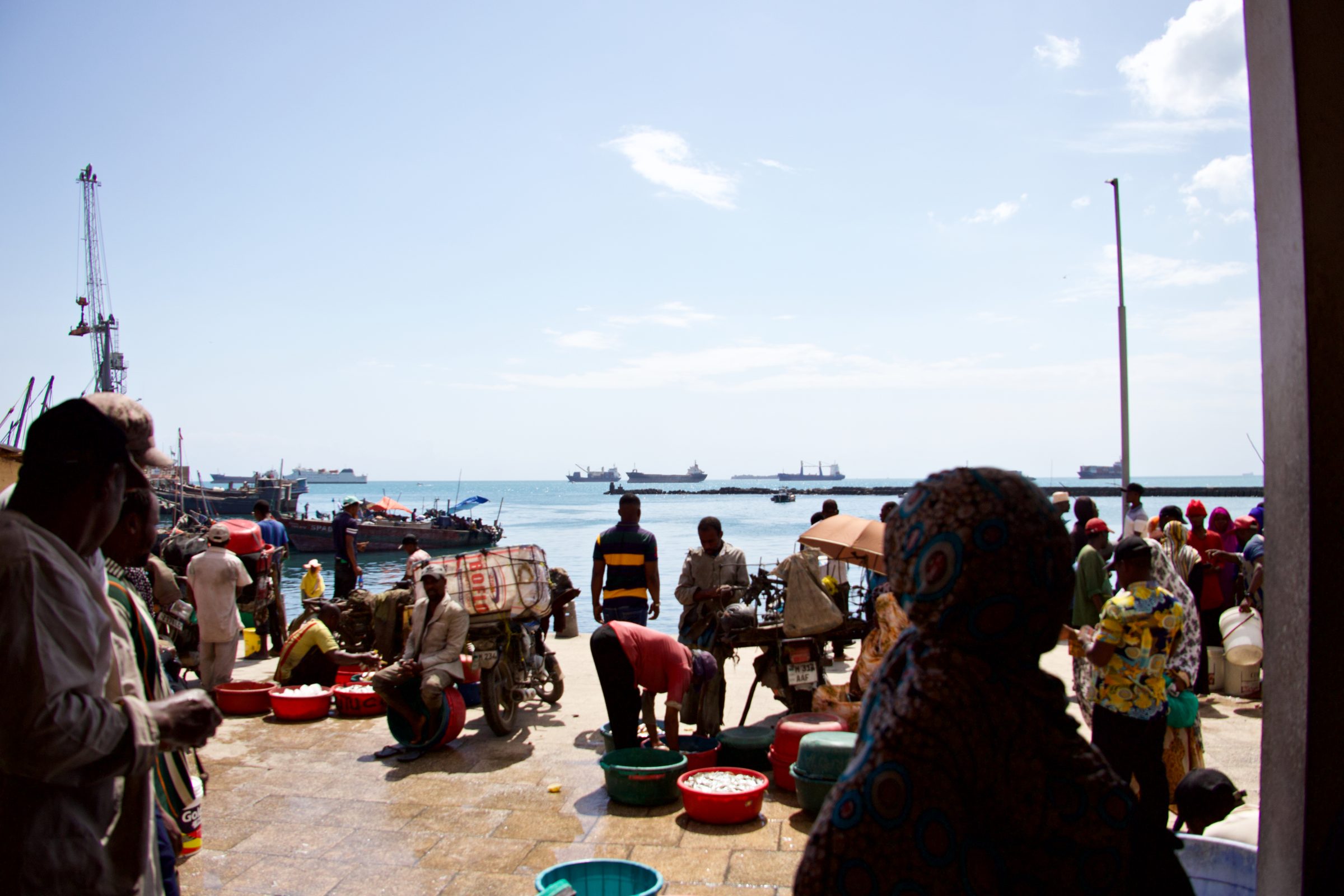 A busy fish market on the shore